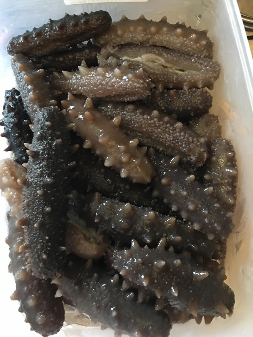 海参泡发攻略