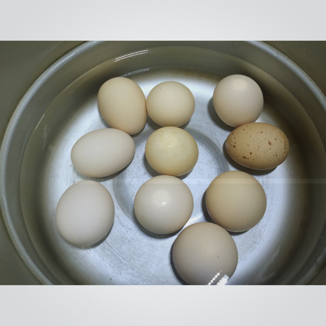 电饭煲煮五香茶叶蛋