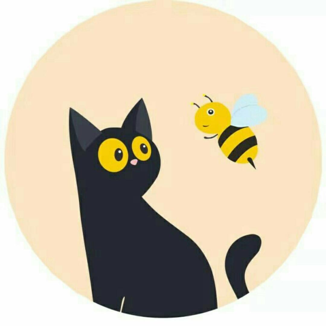 蜜蜂和猫