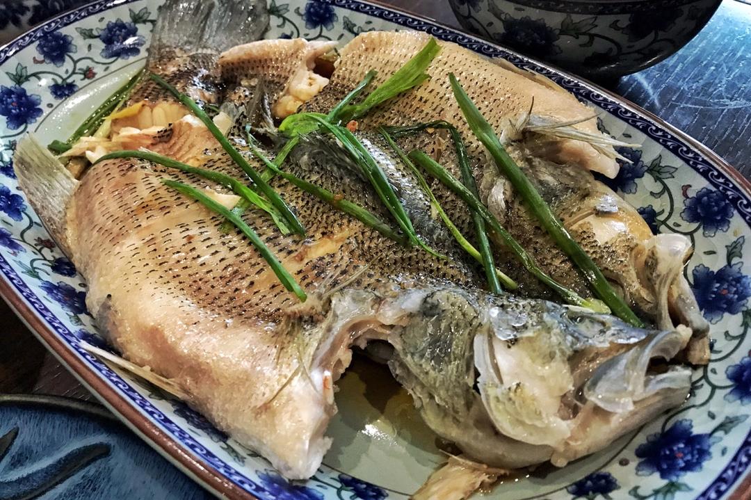 清蒸鱼/适用于各种鱼🐠（年夜饭必备硬菜）@Makin-