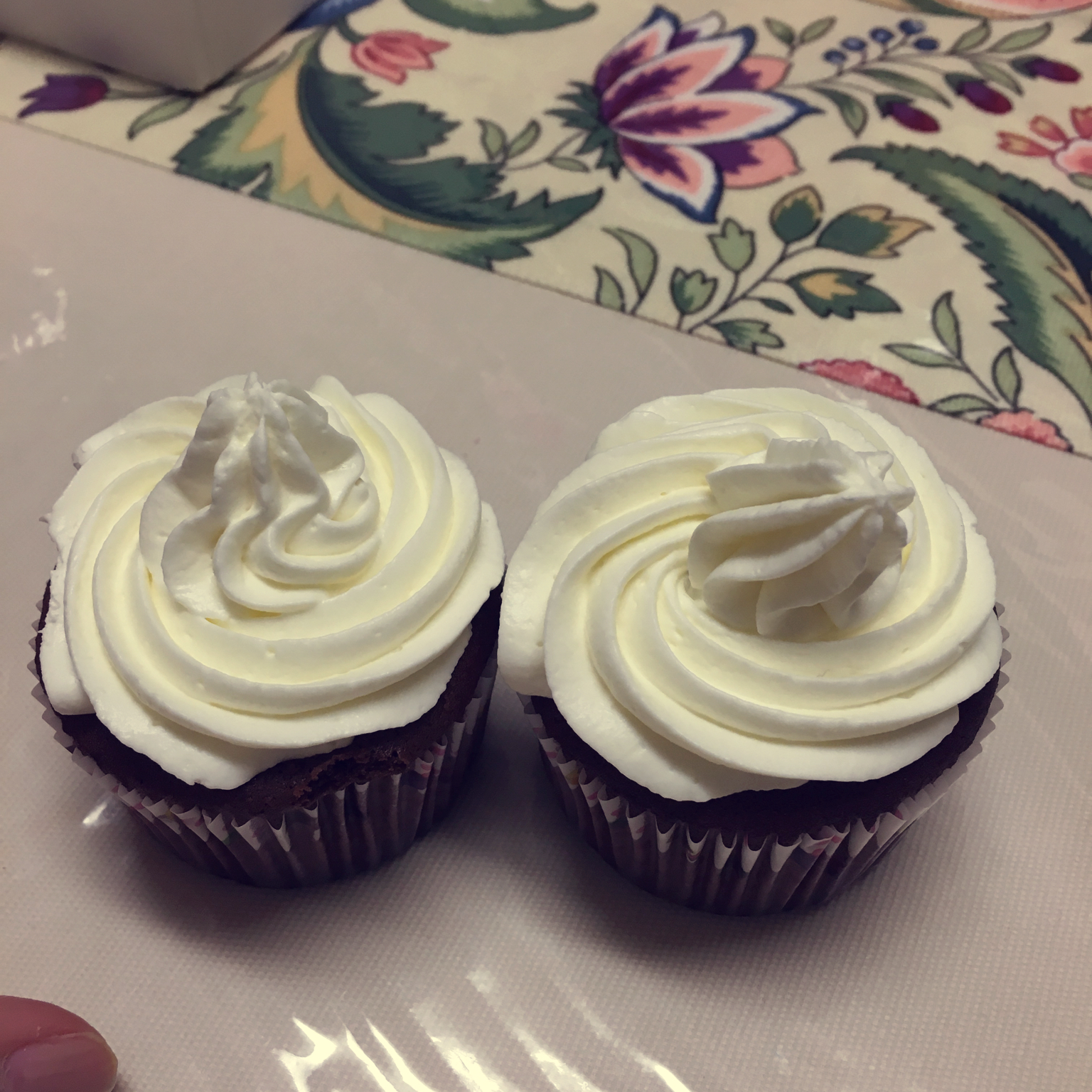 古典巧克力cupcake配马斯卡彭奶油霜