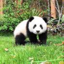 手机用户8046_eshj