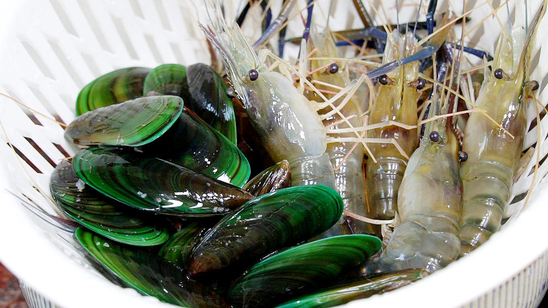 白灼虾 青口的做法