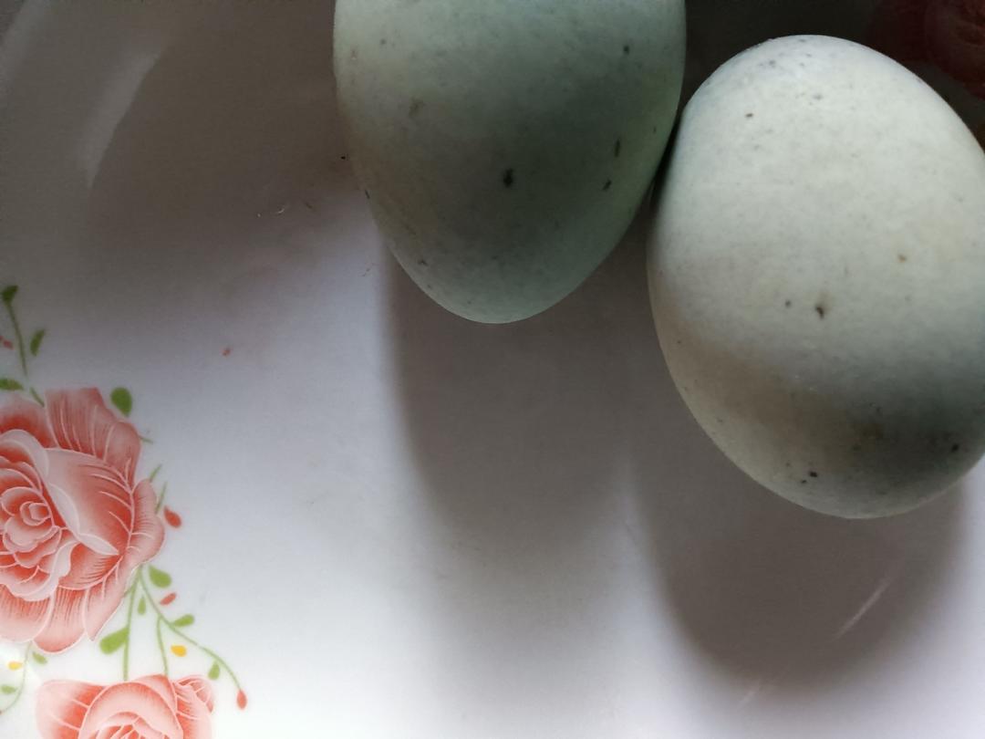 红觅菜煮皮蛋的做法