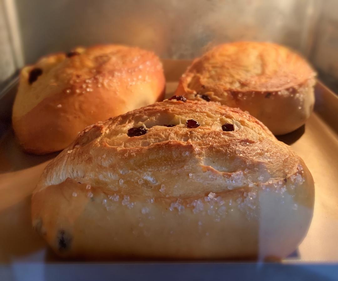 葡萄软欧（仿原麦山丘）Milk flavored bread filled with raisins and butter