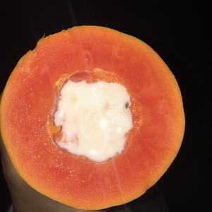 微波炉木瓜炖牛奶的做法 步骤4