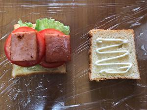 营养一网打尽，美好一天从三明治🥪开始的做法 步骤9