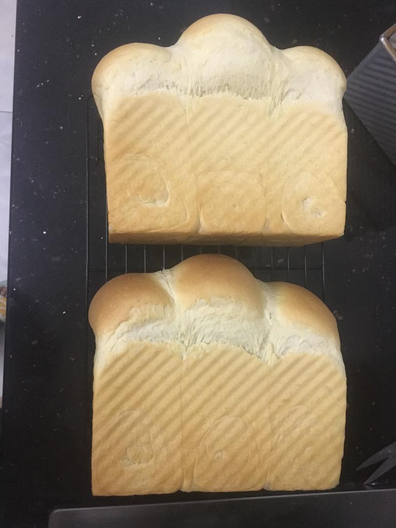 北海道吐司（70%中种）—全蛋大爆头法