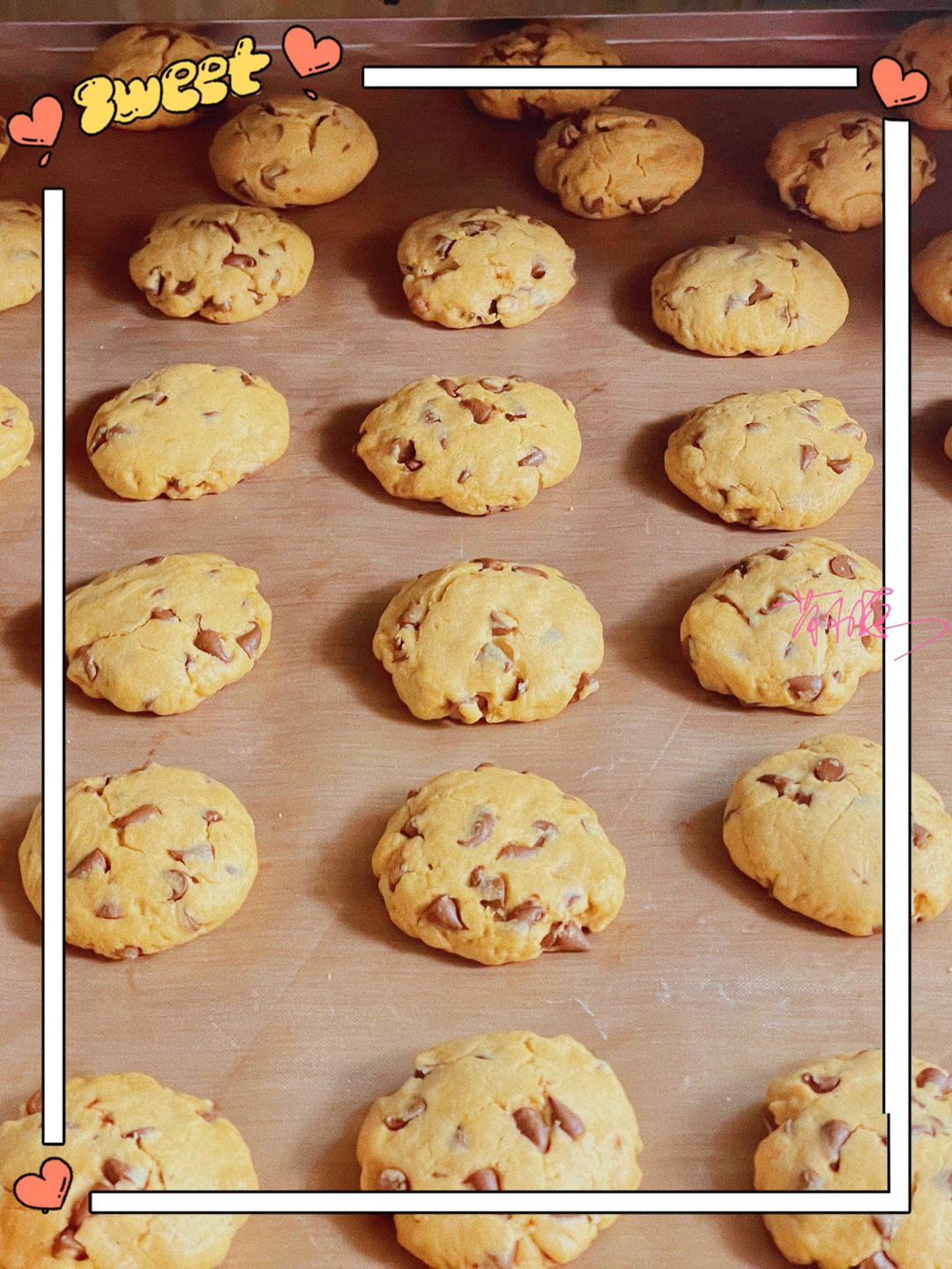 PH大师的巧克力饼干（趣多多）