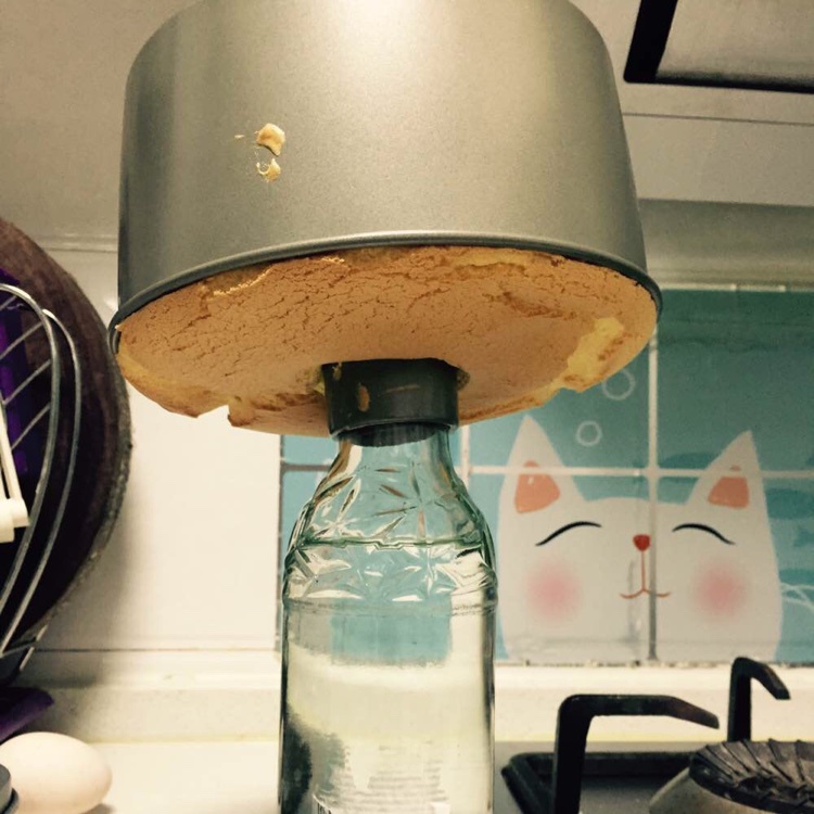 小嶋老师的戚风蛋糕