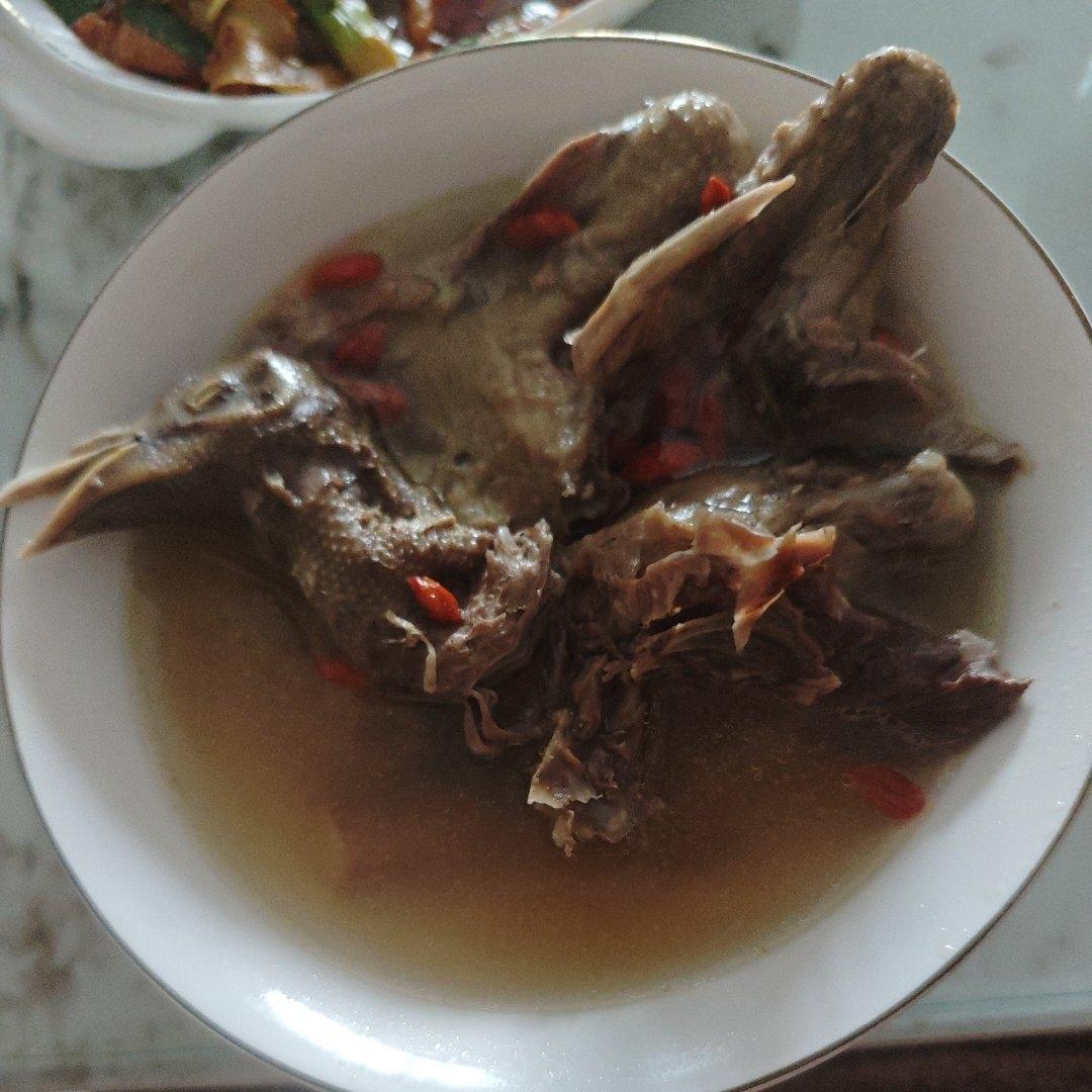 一口气喝三大碗生津滋补鸽子汤适合经常熬夜补气血