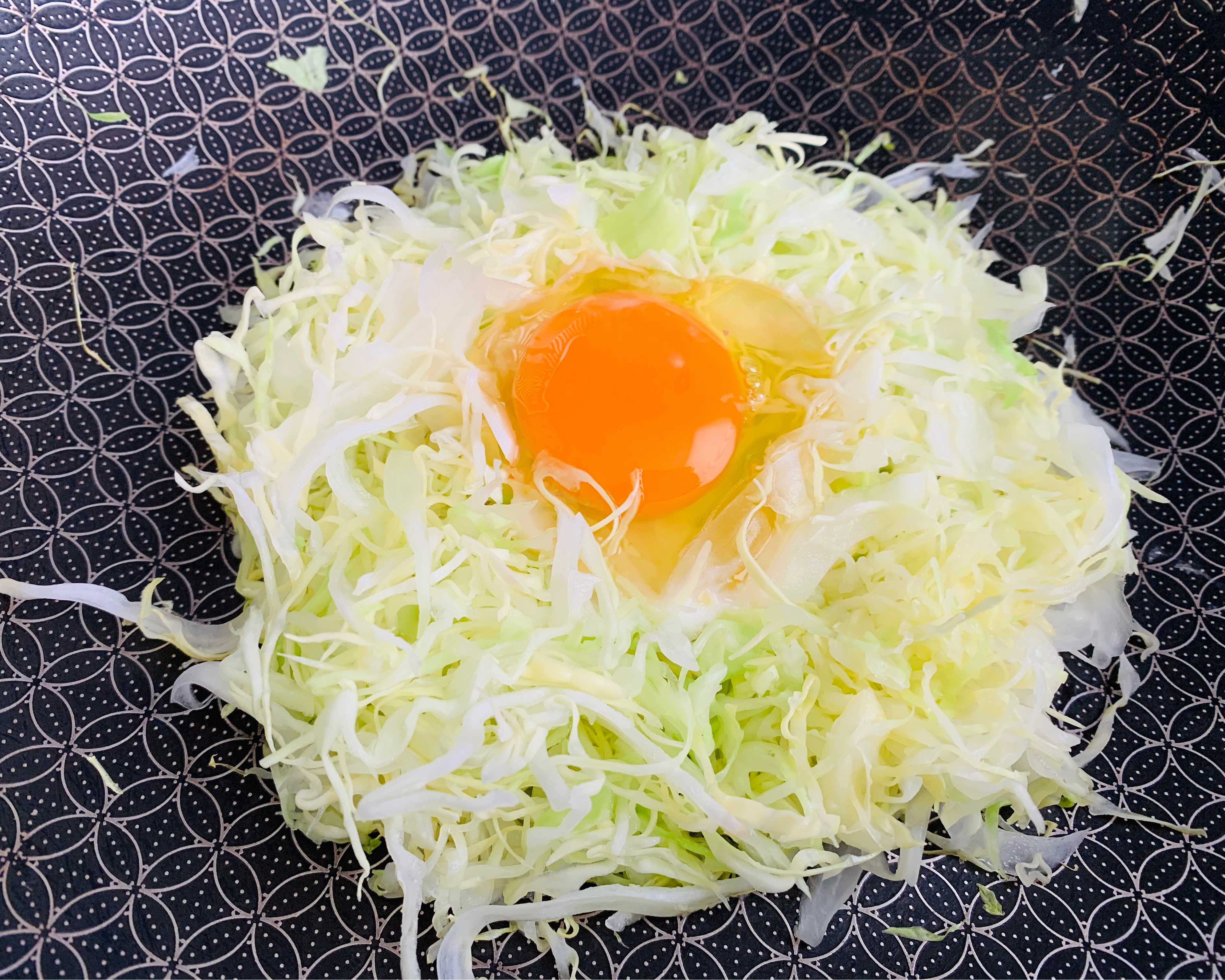 圆白菜抱蛋