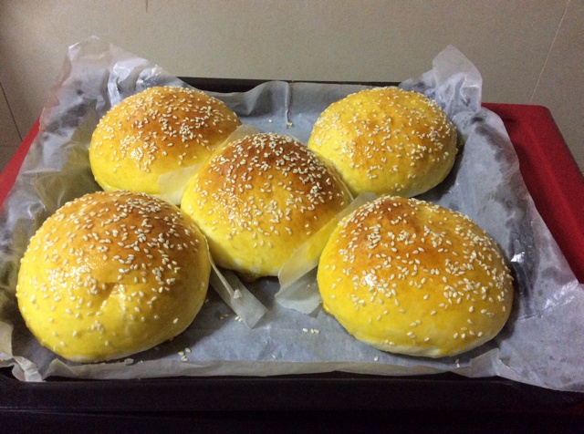 汉堡胚（中种法）