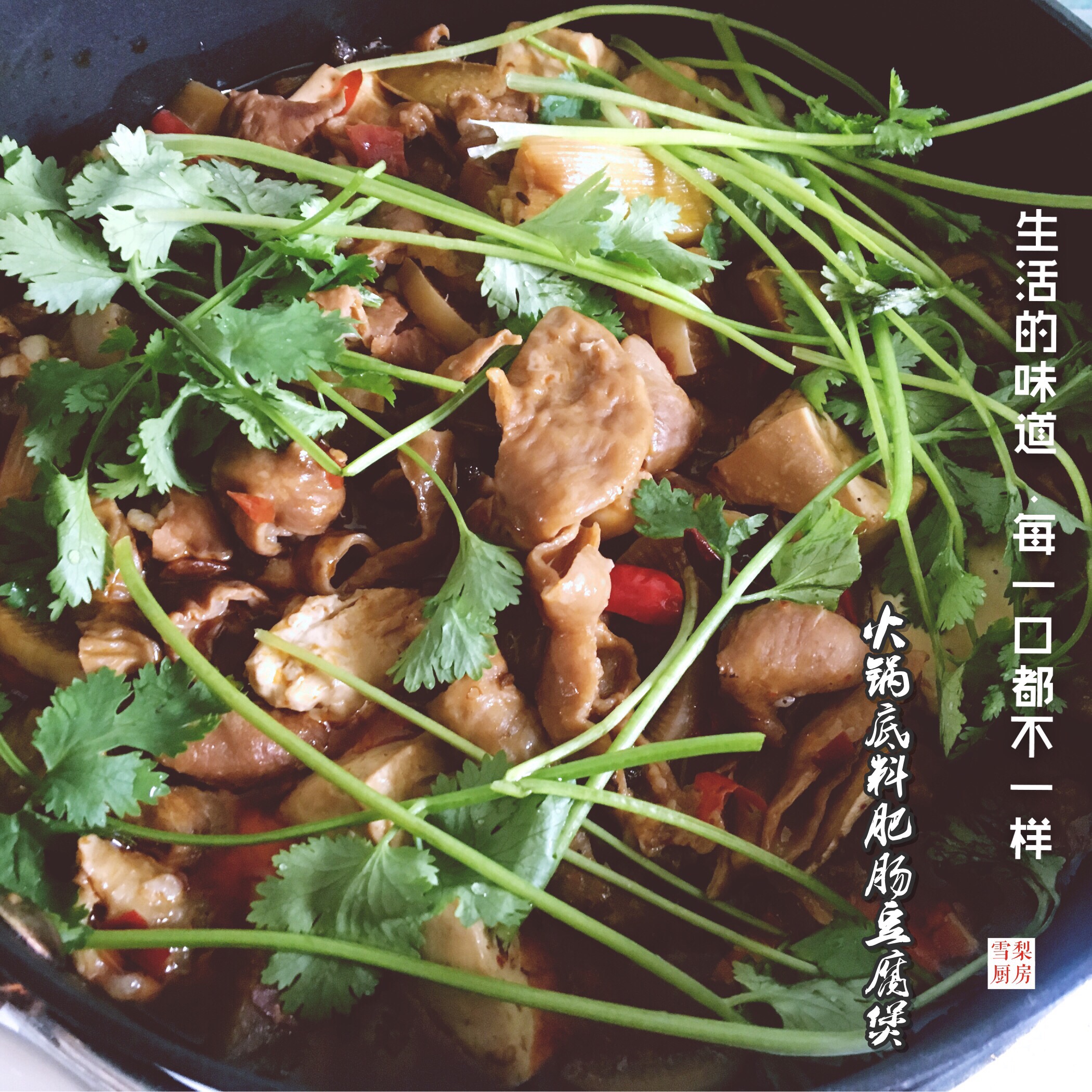 火锅底料肥肠豆腐煲的做法