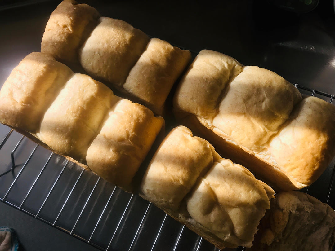 山崎丰全麦烫吐司