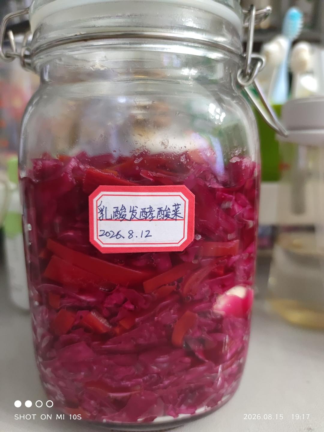 乳酸发酵酸菜丨健康·泡菜