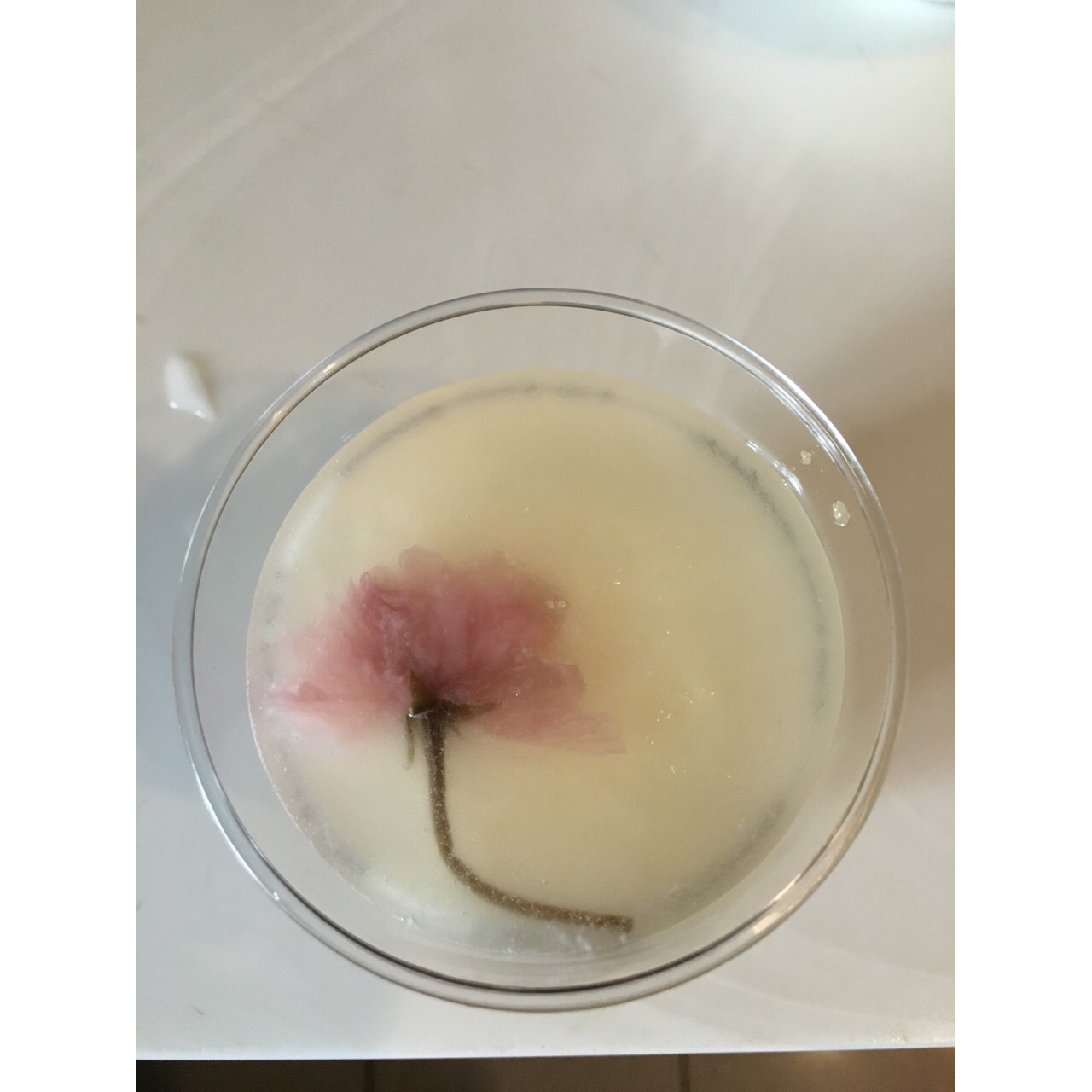 樱花酸奶慕斯杯