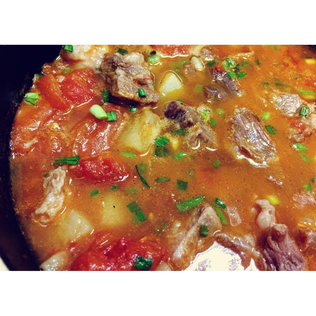 番茄牛腩(这样做牛肉不会老哦）