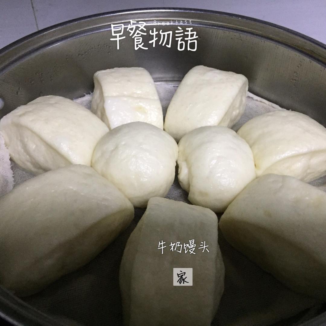 纯手工奶香馒头【无泡打粉，无添加】
