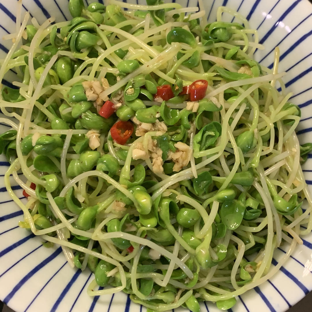 呛口麻辣黑豆苗