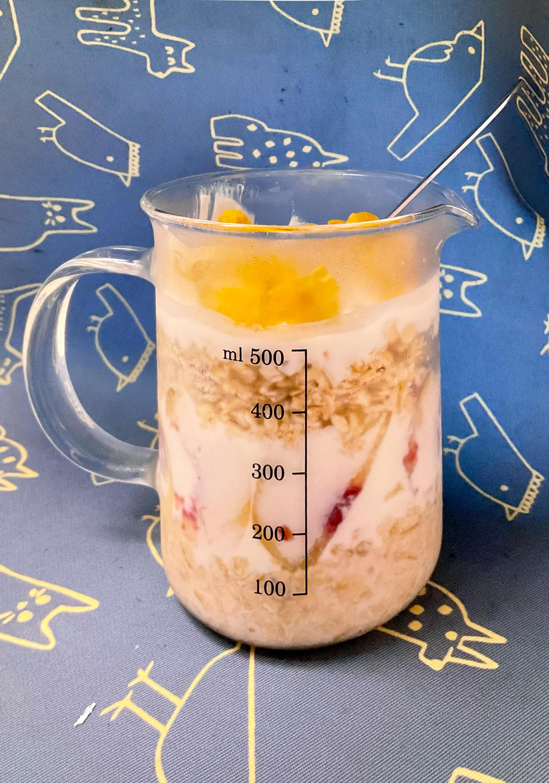 basic overnight oats 时下最流行的营养健康冷藏式隔夜免煮燕麦基本款