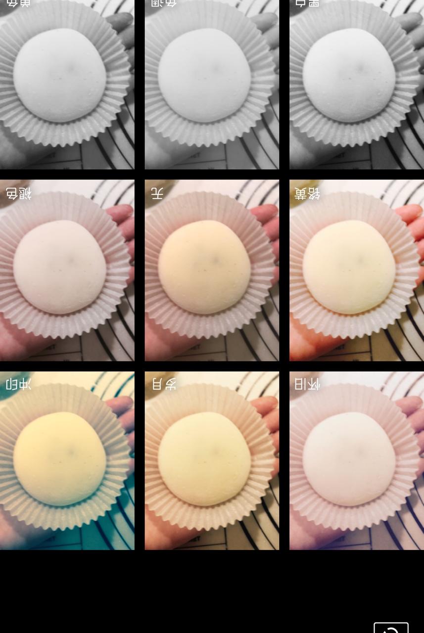 腹黑白胖子——奥利奥雪媚娘