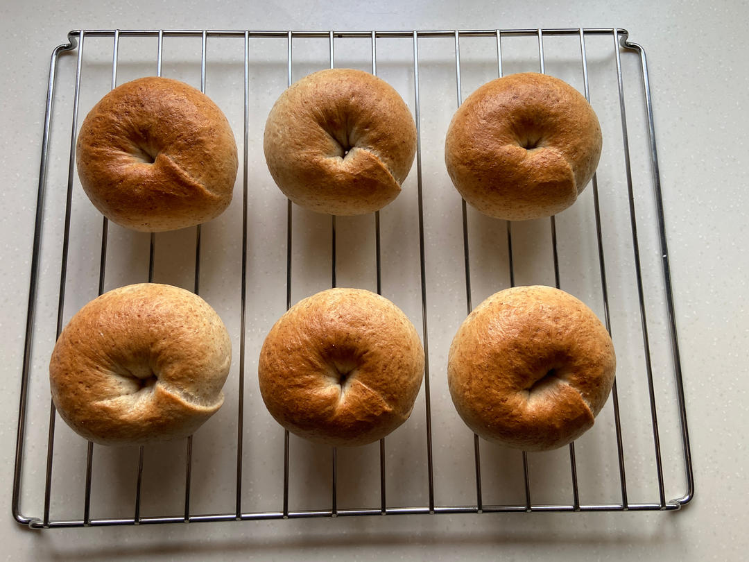 全麦贝果🥯