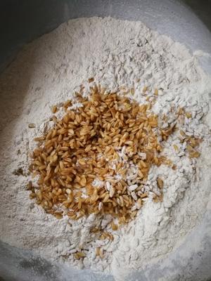 燕麦粗粮窝头的做法 步骤2