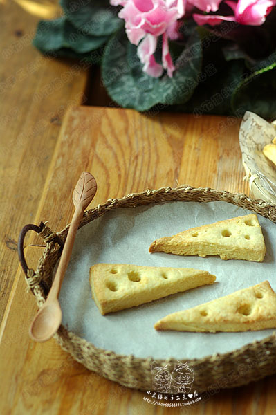 仿真奶酪饼干
