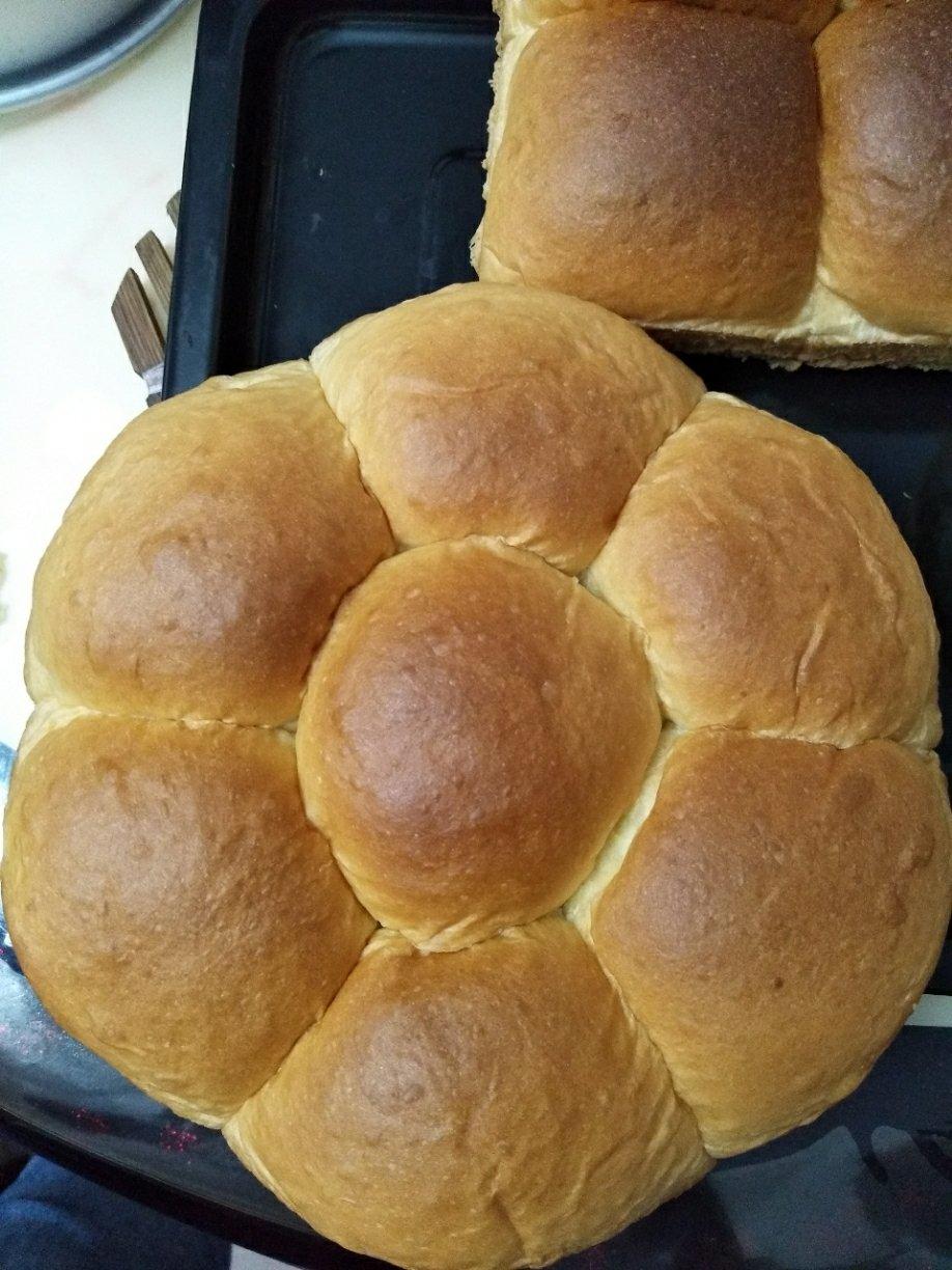 一次发酵快手小餐包