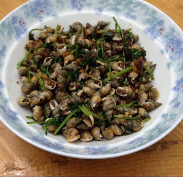 海螺丝的第一次