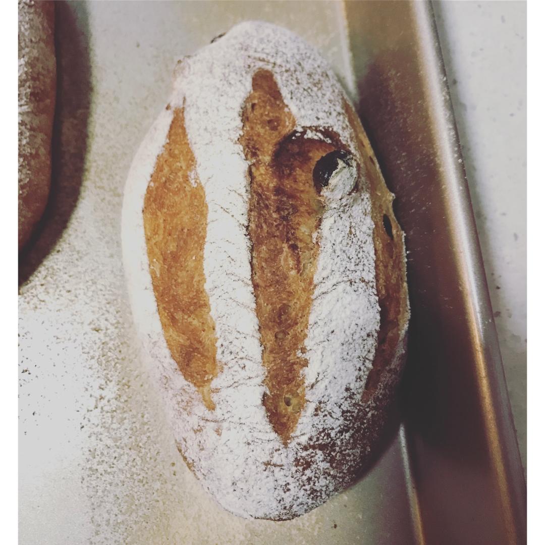 全麦蔓越莓软式欧包（免揉）