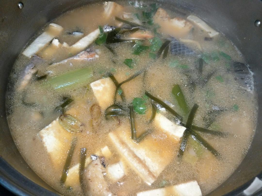 三文鱼味噌（ceng）汤