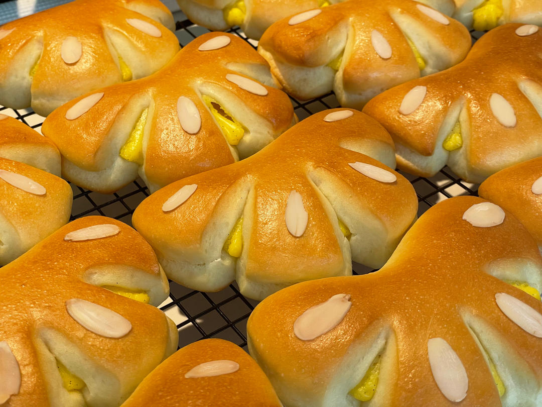 日式香草熊掌卡仕达面包|经典面包|香甜柔软|超可爱