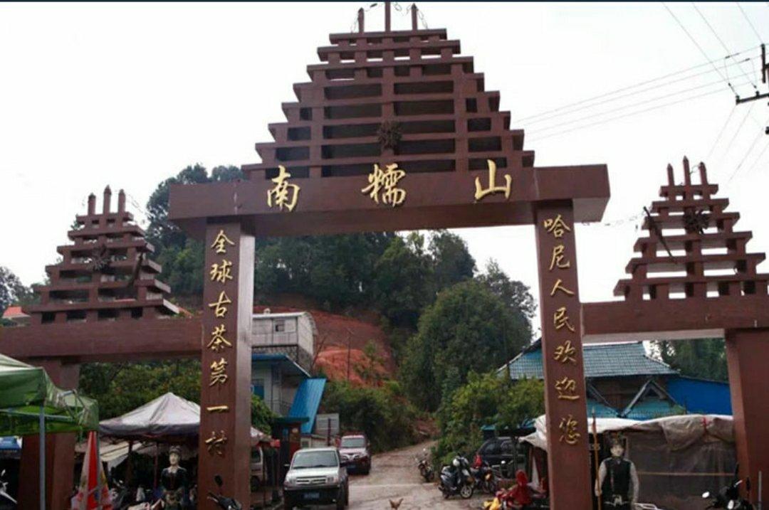 古茶居分享作品2018年12月02日拔玛茶是南糯山的典