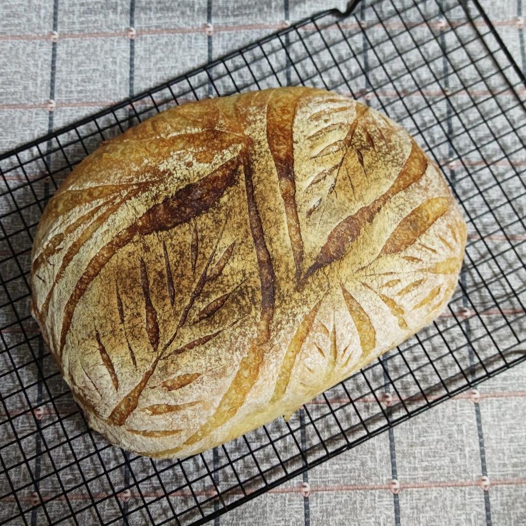 不可能减肥的欧包🥖（超简单！免揉！无油无糖）