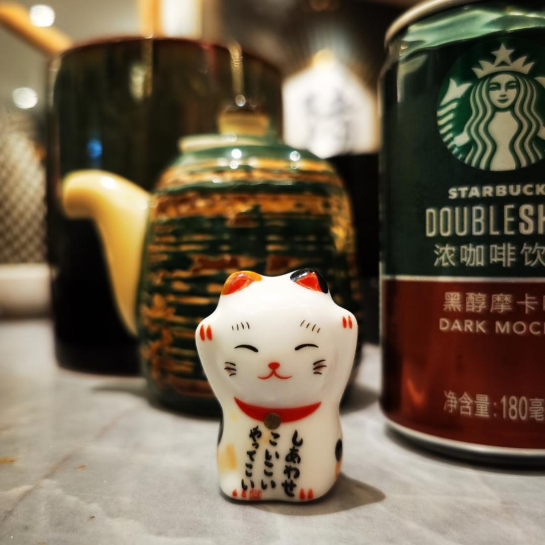 猫咪酷儿