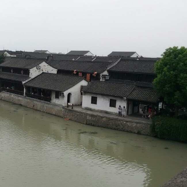 北鱼不该在戴溪打怪Lily