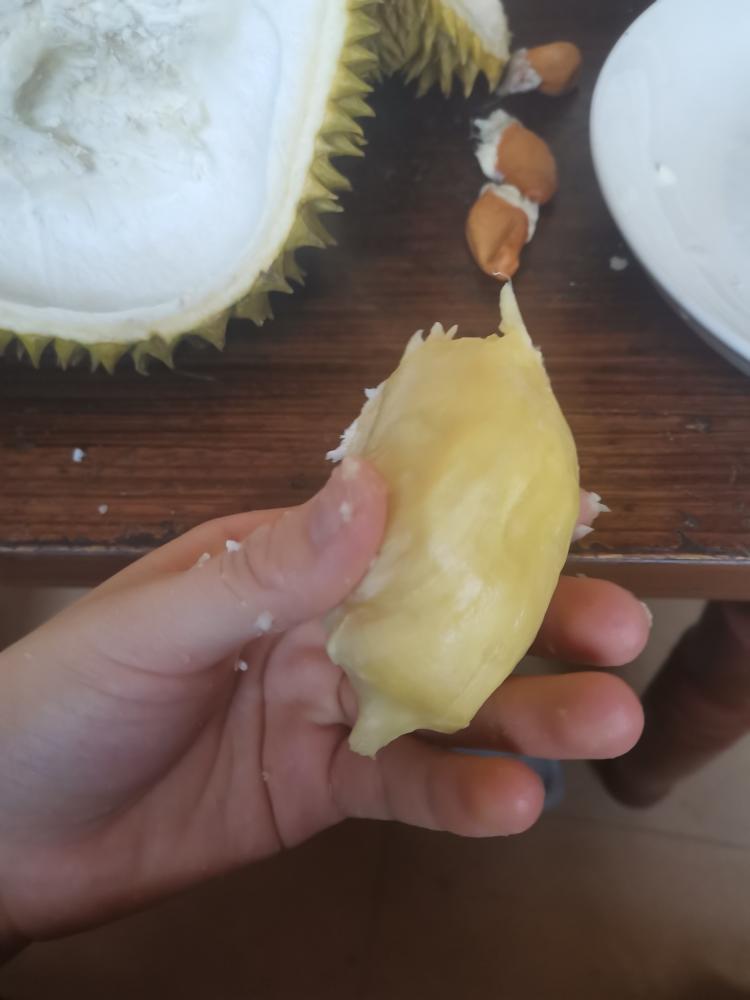 榴莲壳（简单版）