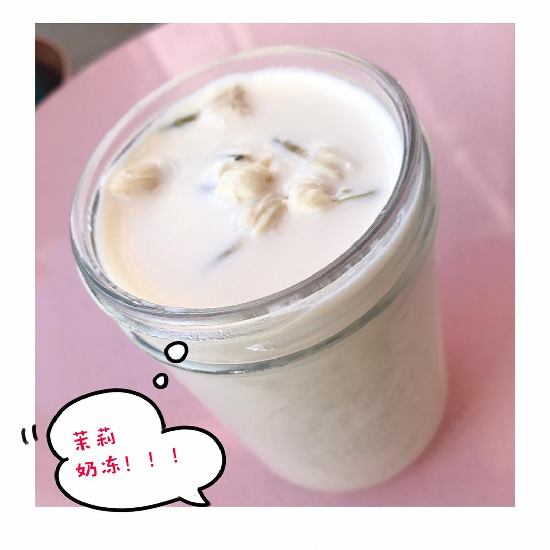 吃豆腐啦！——小嶋老师茉莉奶冻