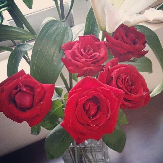 Iris_ChanChan的厨房