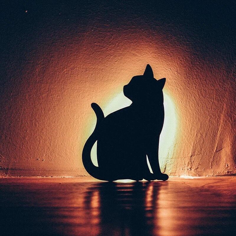 手机用户5666_pwsm的厨房