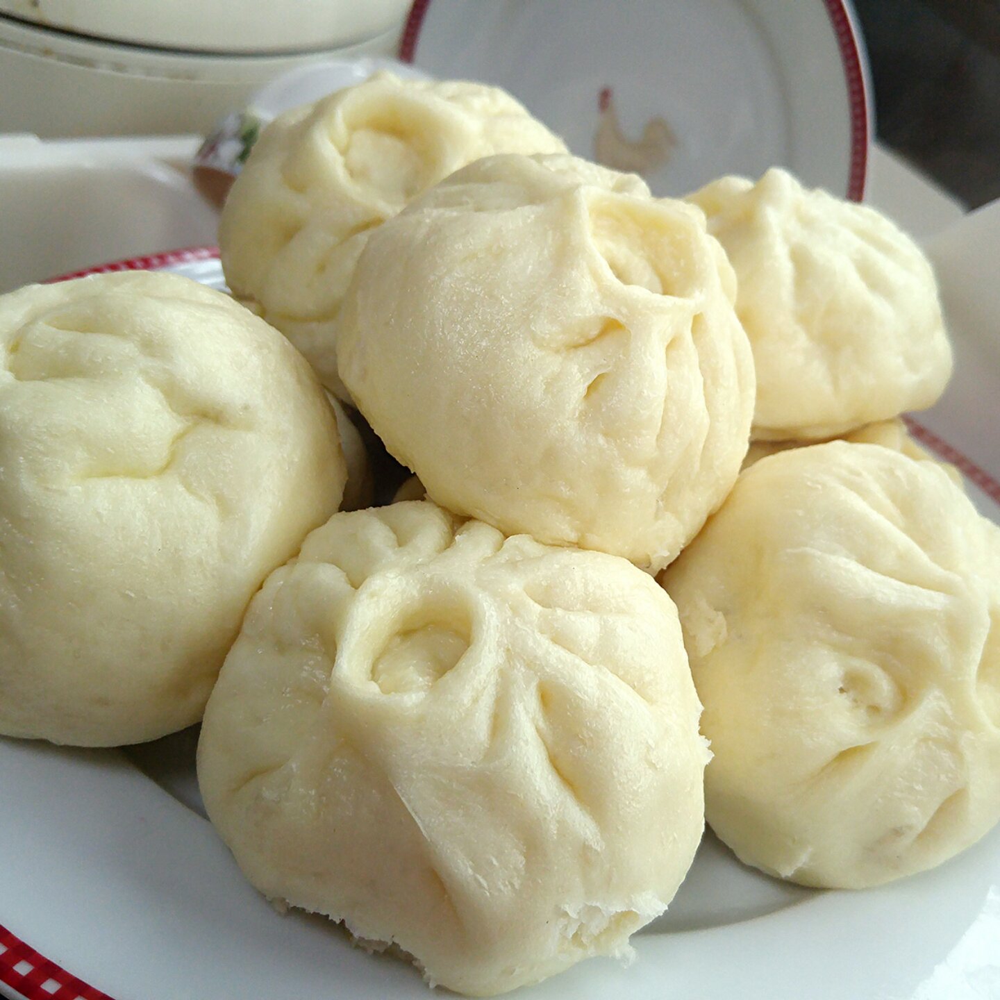 四月姗姗做的家庭手工肉馅大包子