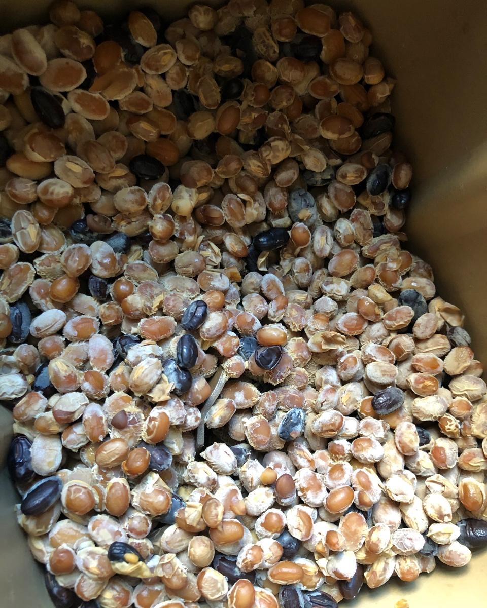 自制纳豆（酸奶机，面包机，烤箱版）