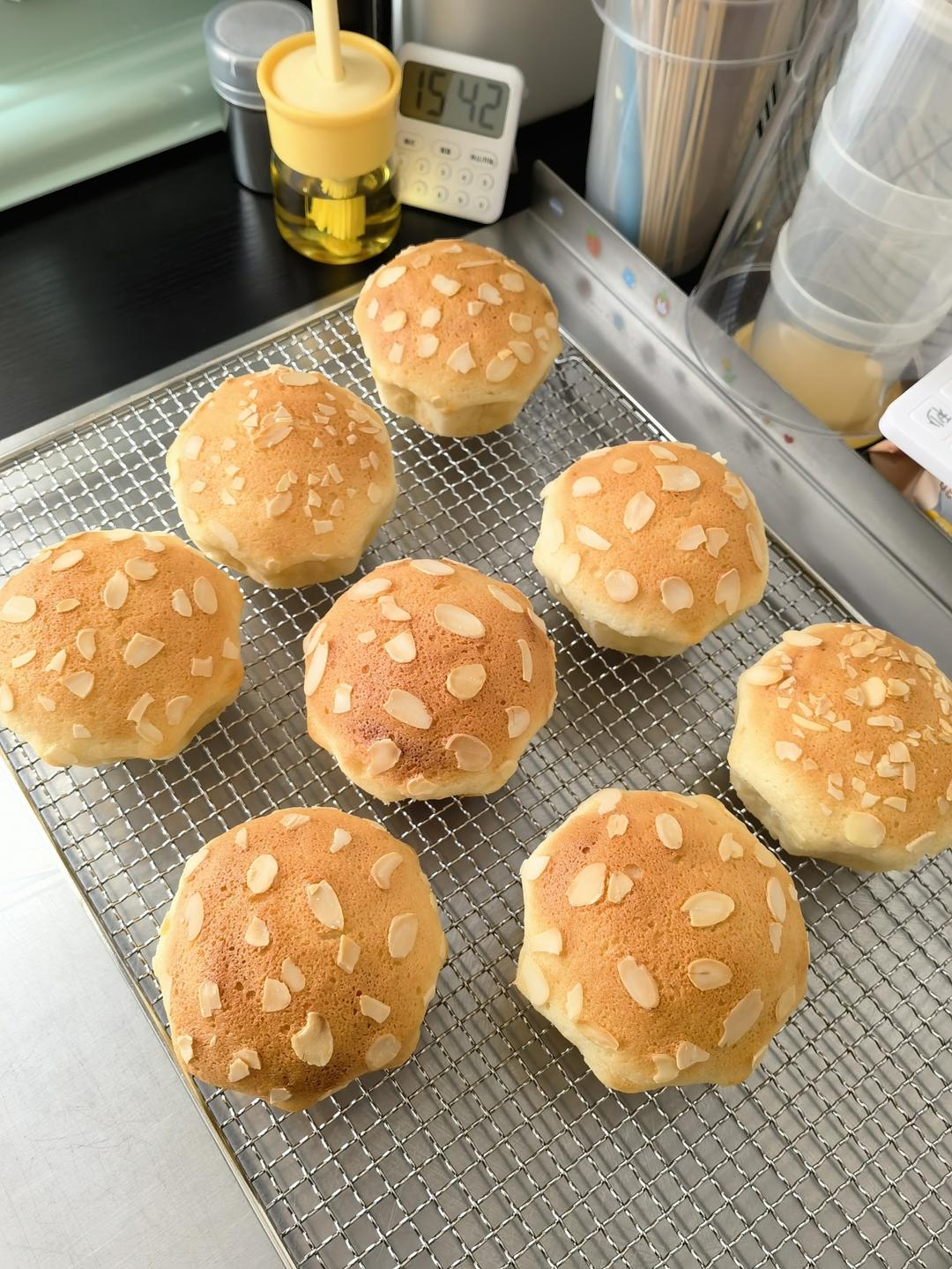 万能吐司面包面团，冷藏中种法～