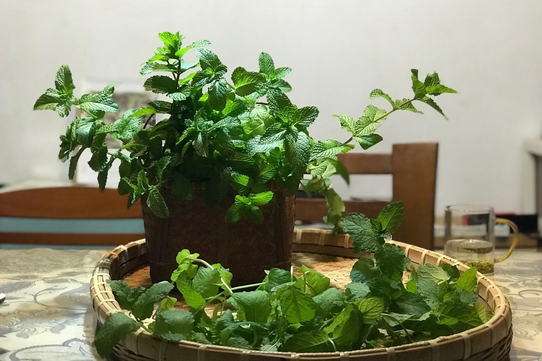 薄荷膏～～小美版          超详解步骤