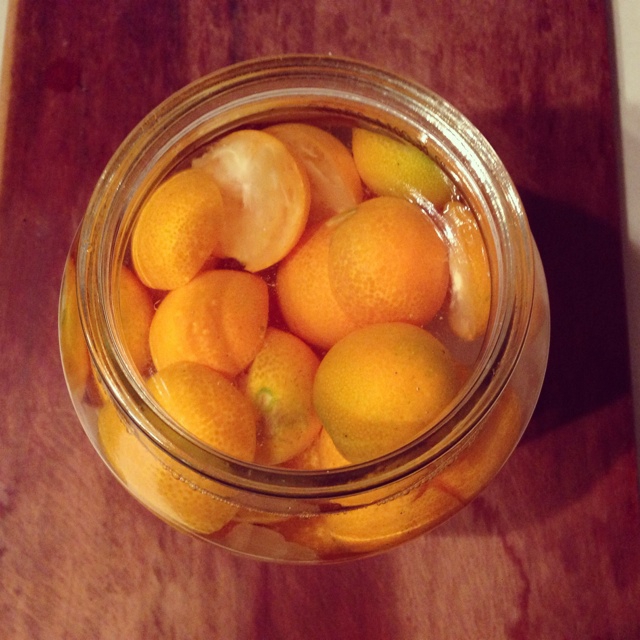 朱小猫-1做的金橘酒