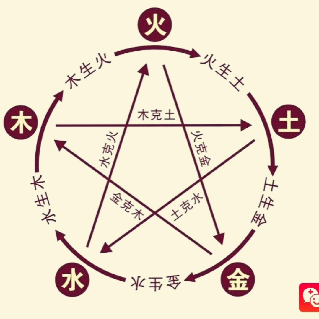荣荣-cnn