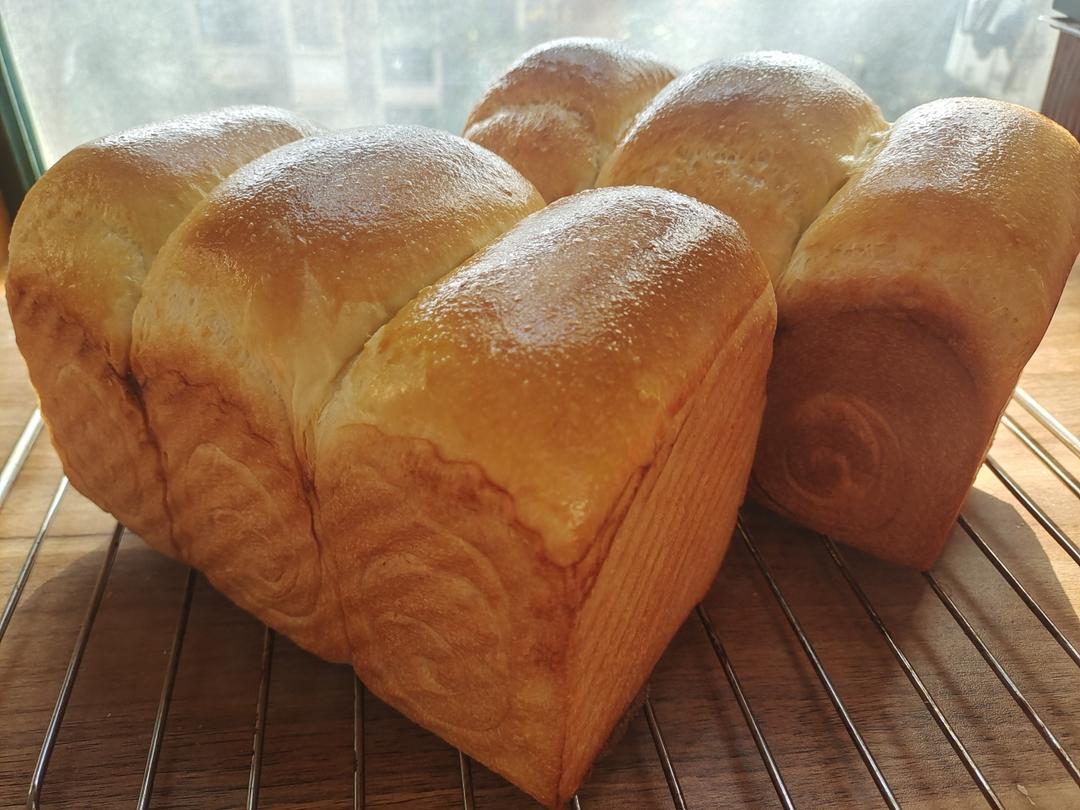 椰浆吐司🍞一次发酵