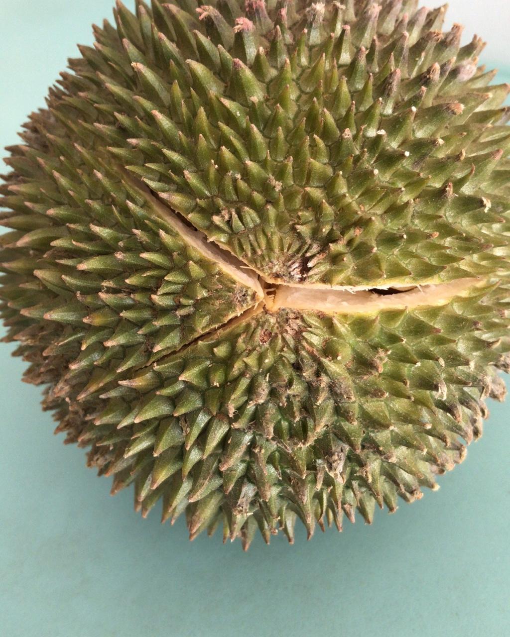 60天减脂餐打卡